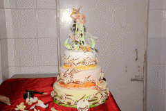 IIHMCA - Hotel management and Culinary Arts College, Hyderabad, Telangana