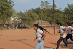 IIHMCA - Hotel management and Culinary Arts College, Hyderabad, Telangana
